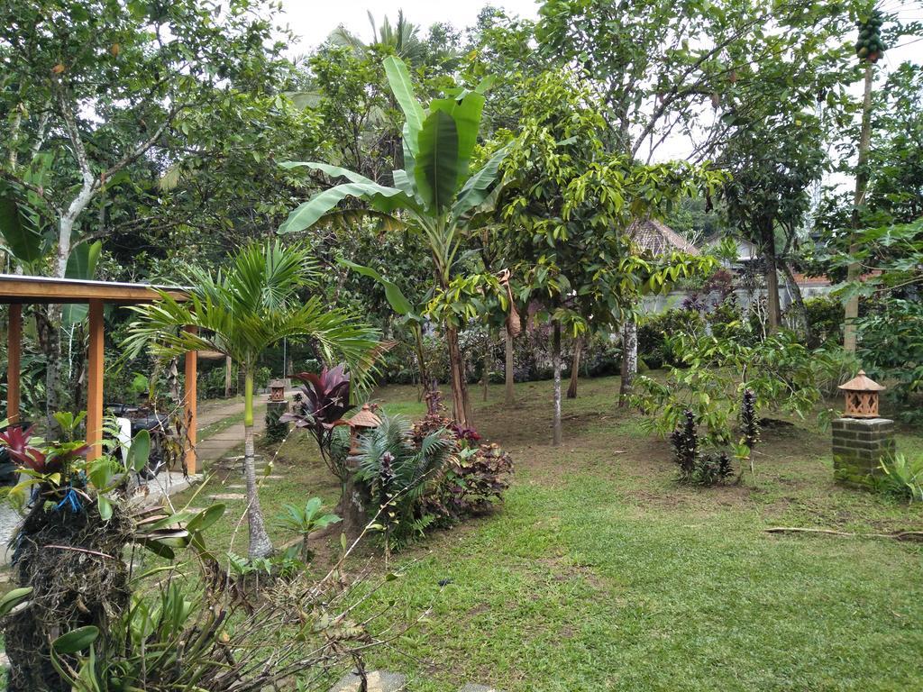 Dina Home Stay Jatiluwih Exterior foto